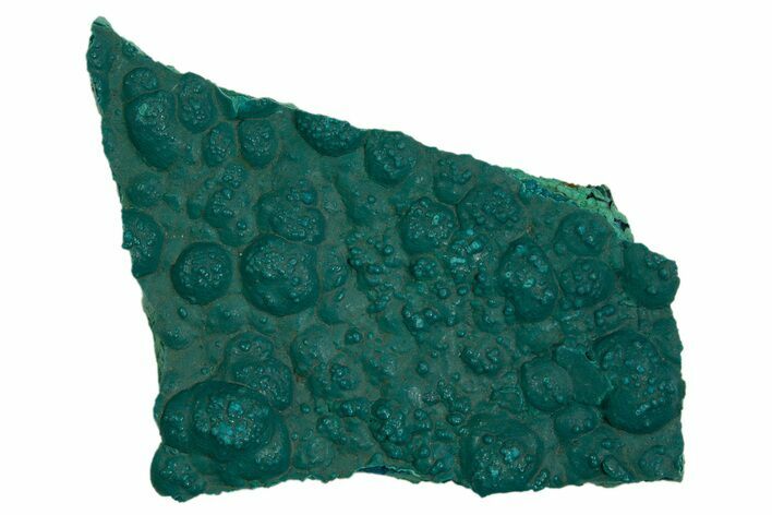 Teal Botryoidal Chrysocolla and Malachite - Chile #310150